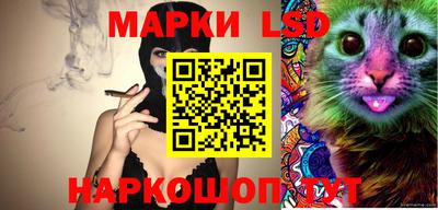 стафф Будённовск