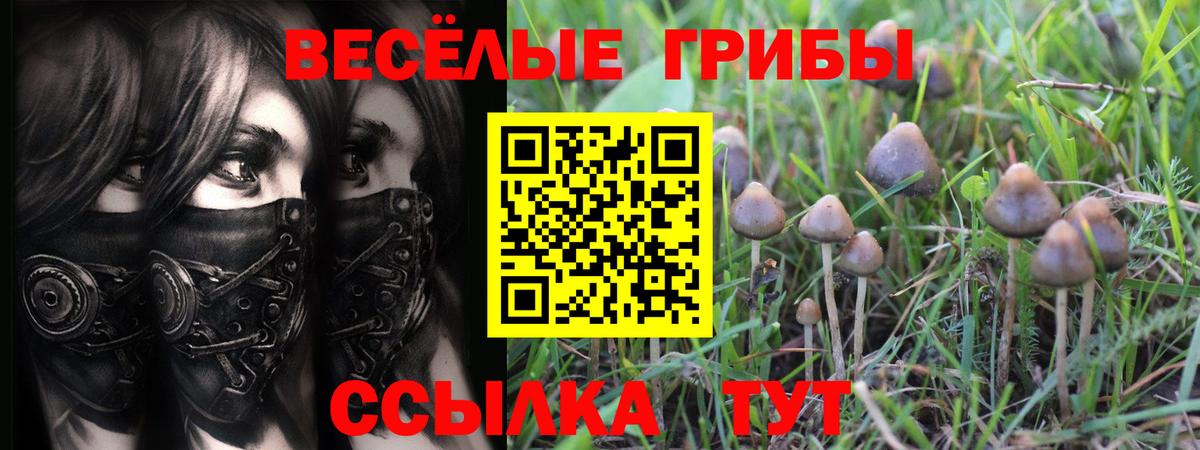 Псилоцибиновые грибы Magic Shrooms  Вход с VPN  Богородицк 